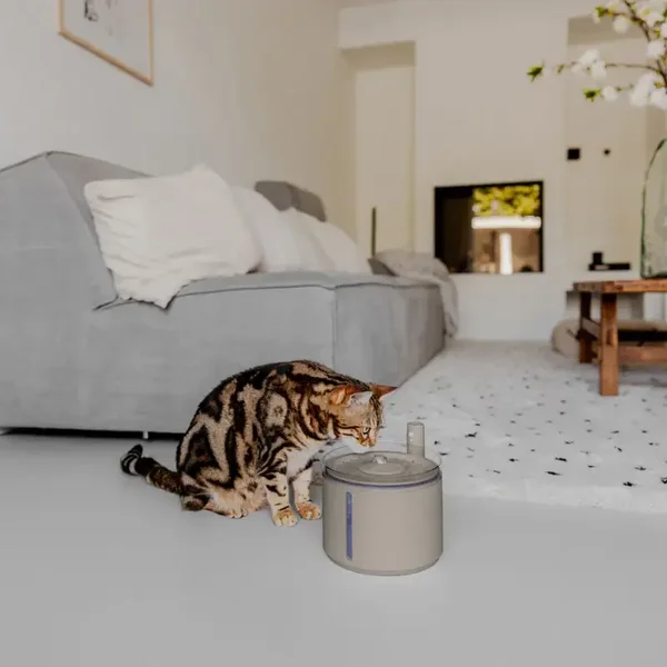 FLOW 2,2 L Kabelloser Trinkbrunnen