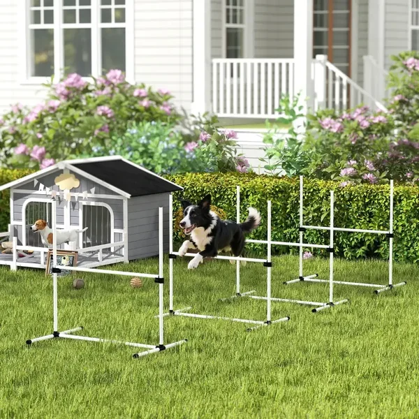 PawHut Agility Set Hunde