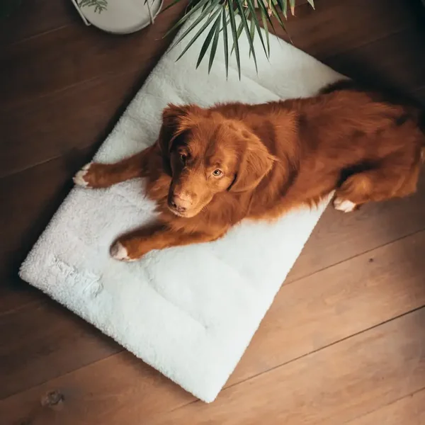 SHERPA Hundeboxmatte