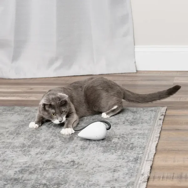 RoloRat Automatisches Katzenspielzeug