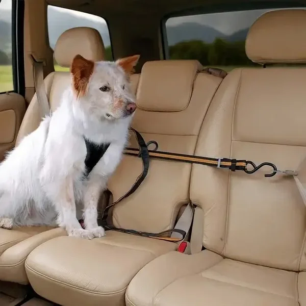 Auto Zip Line für Hunde