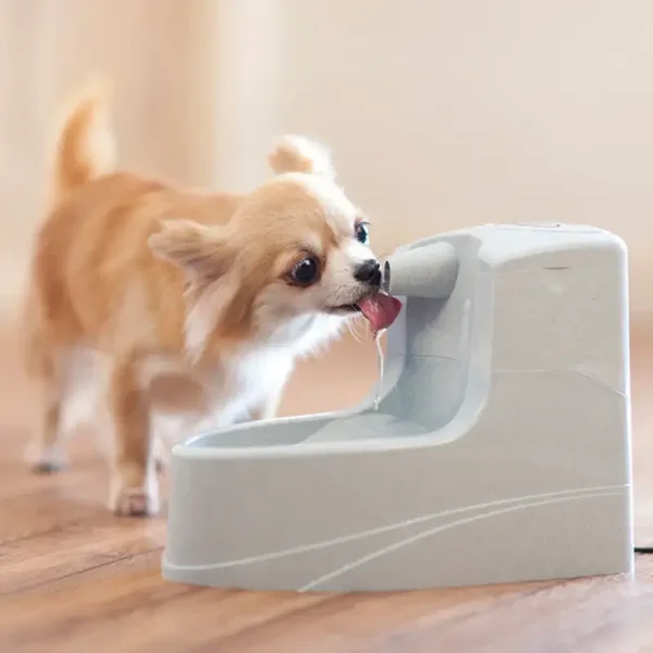 Mini-Trinkbrunnen 1,2 L