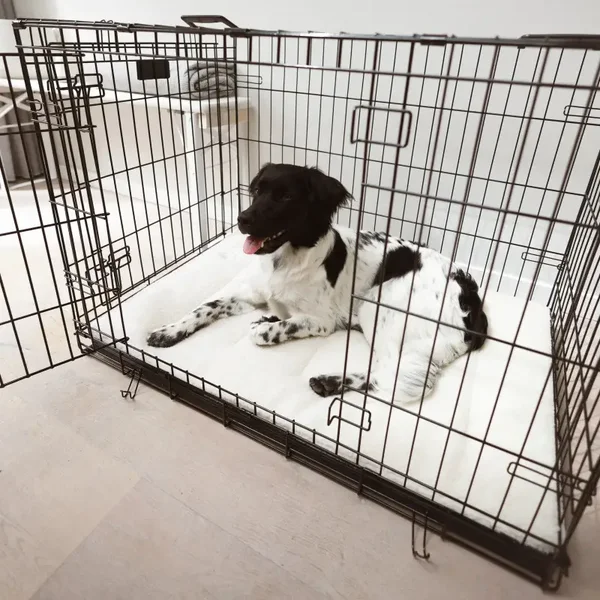 CRATE Hundebox