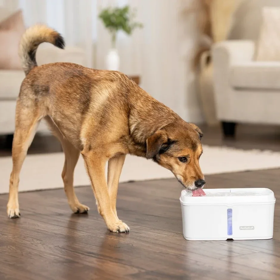 Viva™ Trinkbrunnen 4,1 L