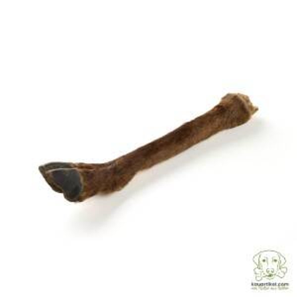 Hirsch Unterbein mit Fell