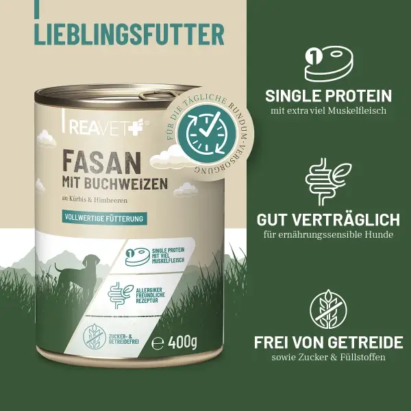 Hundenassfutter - Fasan mit Buchweizen an Kürbis & Himbeeren | 6 x 400g
