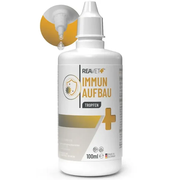 Immun Aufbau Tropfen 100ml