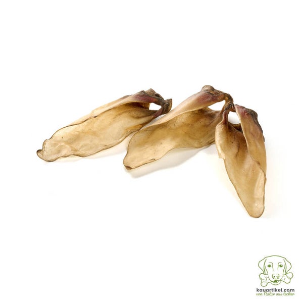 Kalbs-Ohren Gr. M mit Muschelansatz