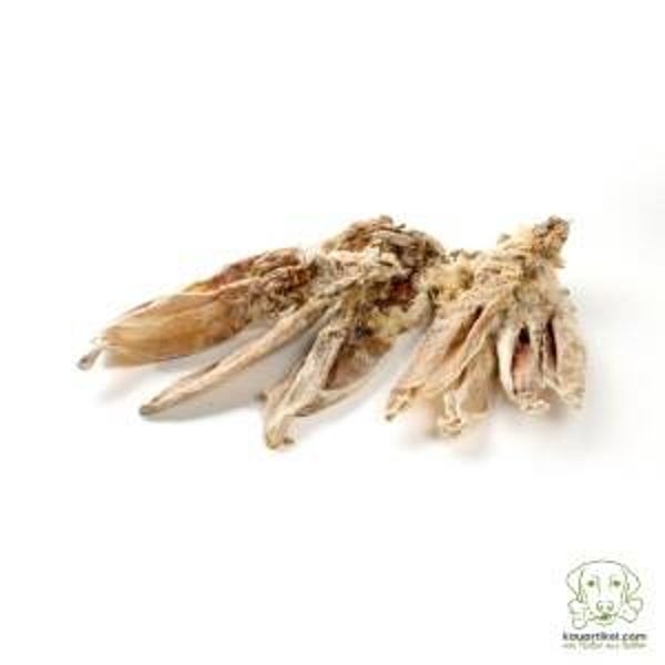 Kaninchen-Ohren mit Fell