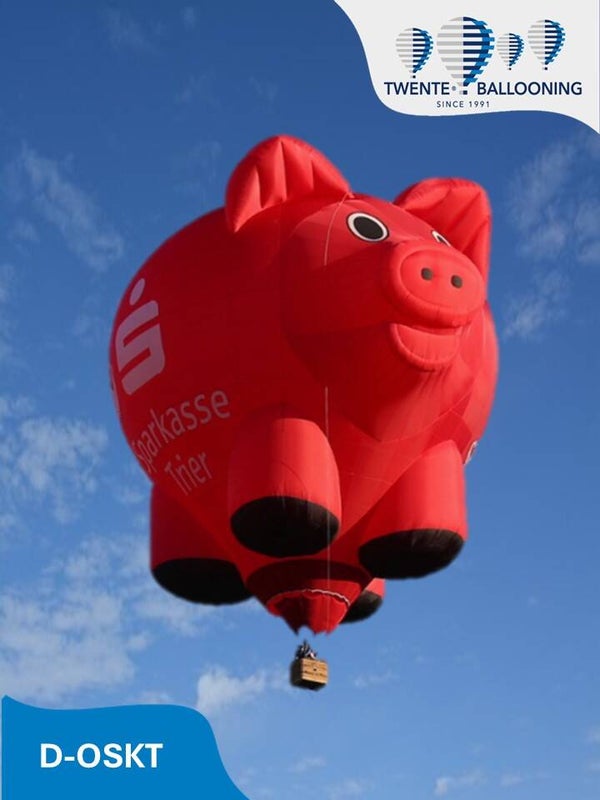 Ballonvaart met het VARKENTJE voor 3 personen