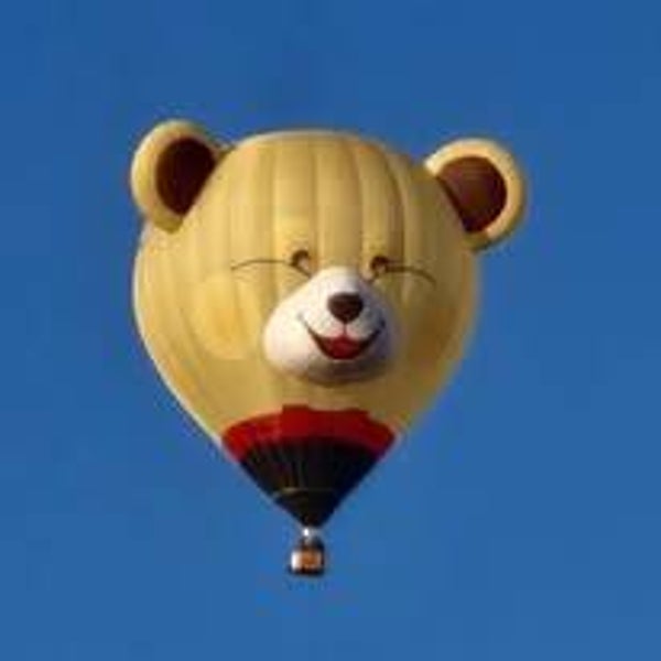 Ballonvaart met Max de beer voor 3 personen