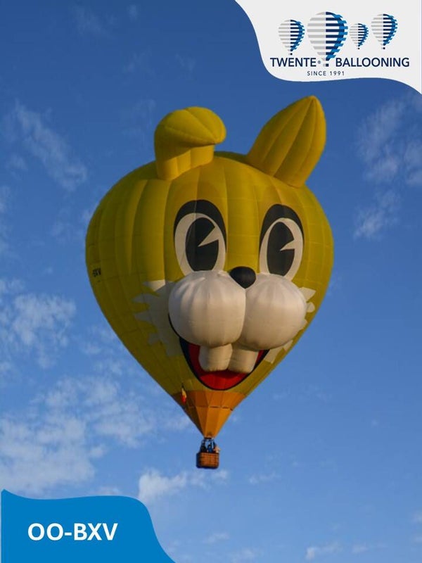 Ballonvaart met Funny Bunny voor 4 personen