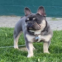 img_0403-standard.jpeg
