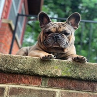 img_2086-standard.jpeg