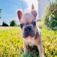 img_2508-standard.jpeg