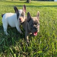 img_3674-standard.jpeg