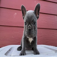 img_3927-standard.jpeg