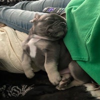 img_4028-standard.jpeg