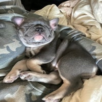 img_4072-standard.jpeg