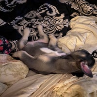 img_4180-standard.jpeg