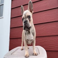 img_4294-standard.jpeg