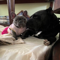 img_5754-standard.jpeg