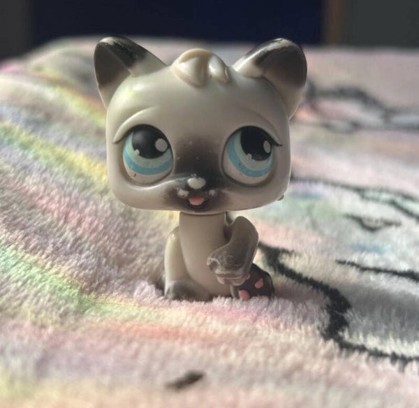 Littlest Pet Shop MM Cat