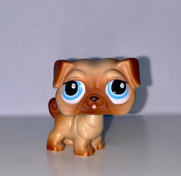 Littlest Pet Shop #1313