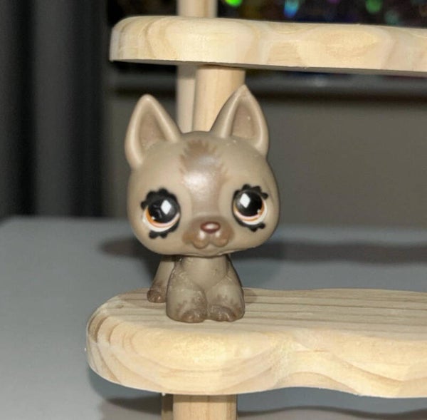 Littlest Pet Shop #491
