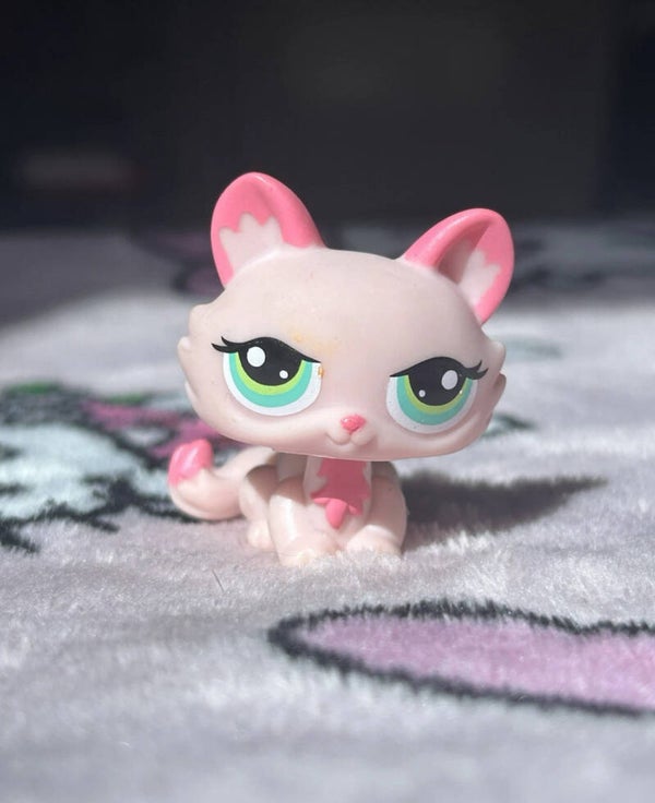 Littlest Pet Shop #1345