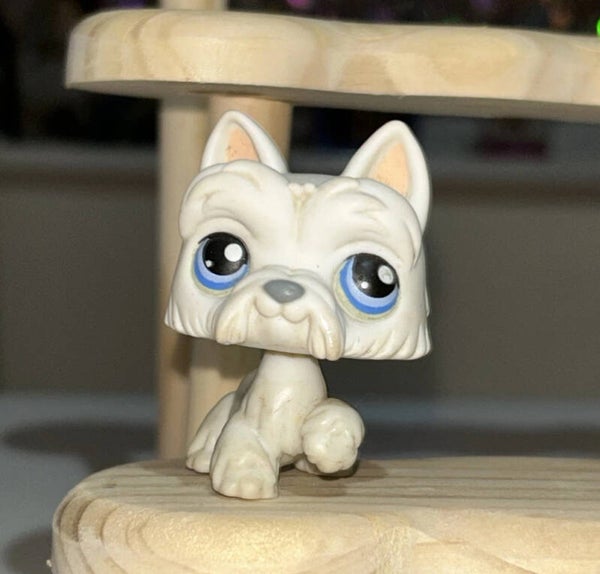 Littlest Pet Shop #24