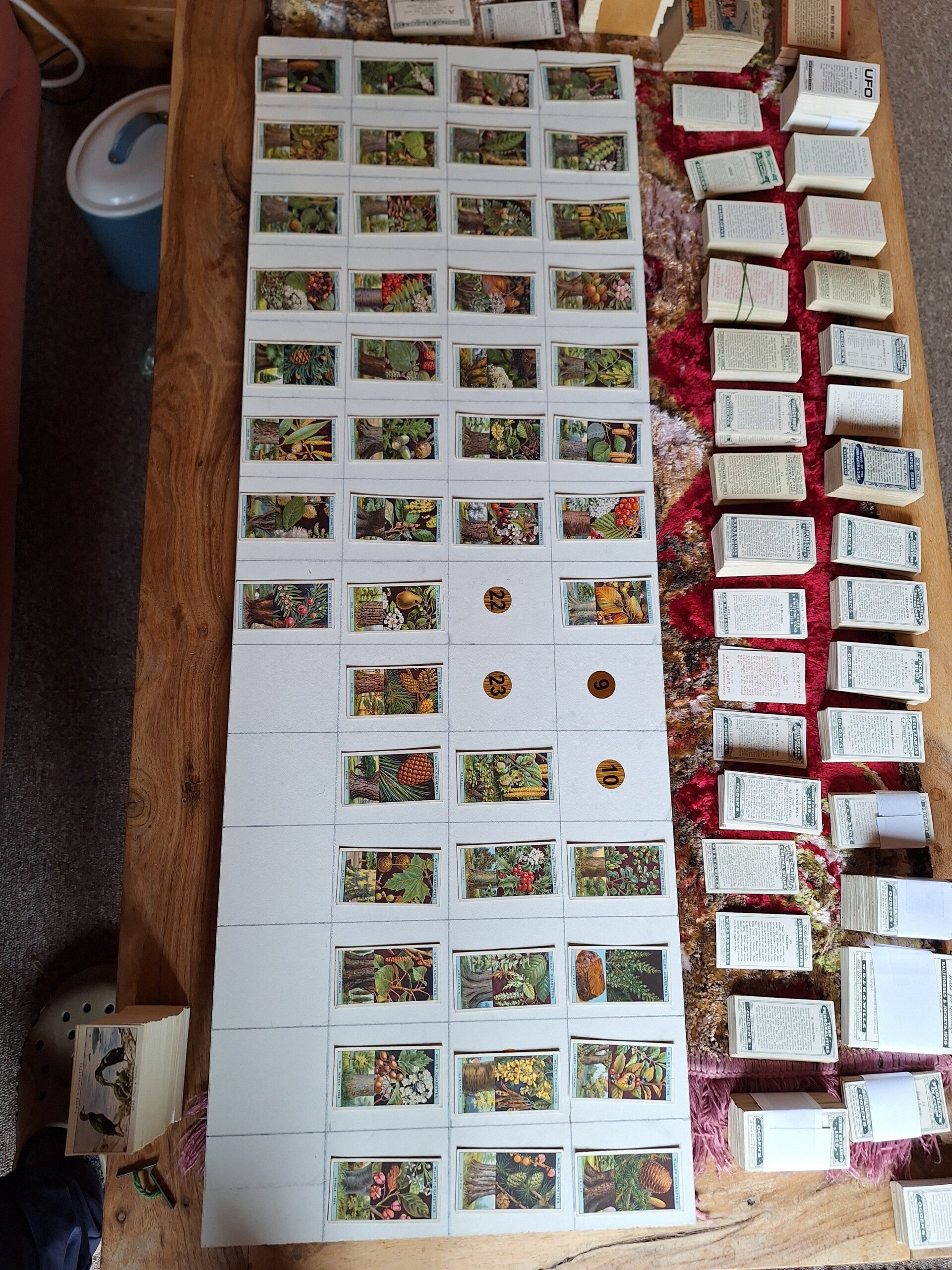 FLOWERING TREES AND SHRUBS  PART SET OF 46/50 CIGARETTE CARDS 1924 ORIGINAL CARDS FROM TILLEYS OF SHEFFIELD W D & H O WILLS LTD