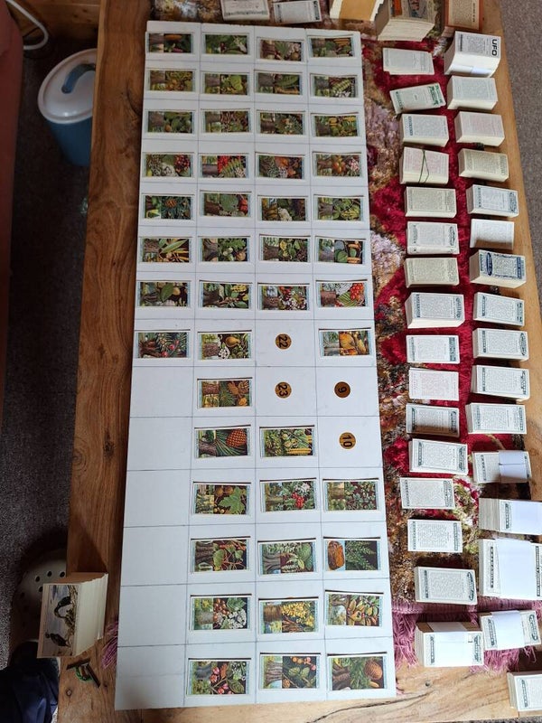 FLOWERING TREES AND SHRUBS  PART SET OF 46/50 CIGARETTE CARDS 1924 ORIGINAL CARDS FROM TILLEYS OF SHEFFIELD W D & H O WILLS LTD