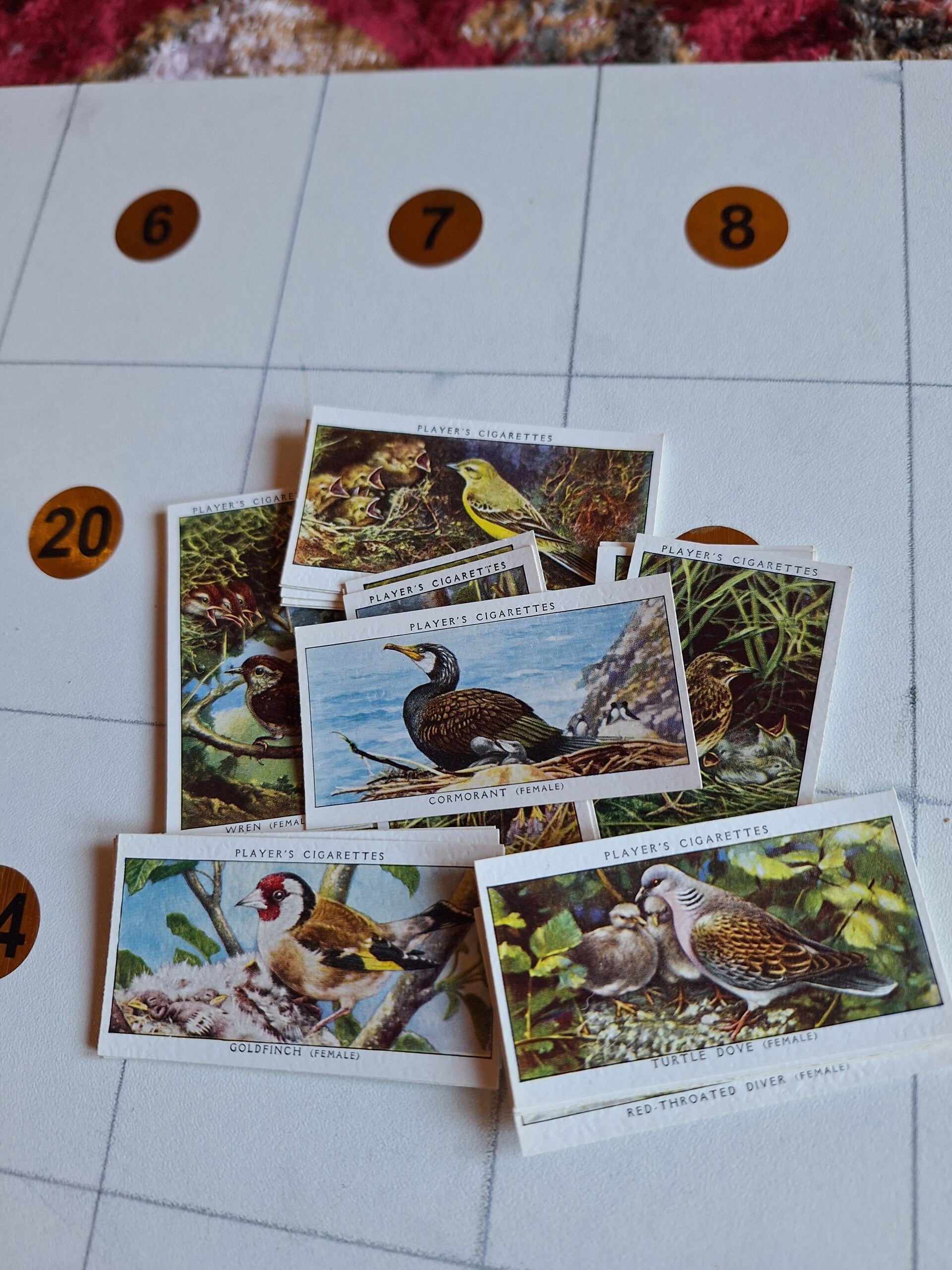 BIRDS AND THEIR YOUNG  COMPLETE SET OF 25 CIGARETTE CARDS FIRST SERIES UNISSUED ORIGINAL CARDS FROM TILLEYS OF SHEFFIELD JOHN PLAYER & SONS