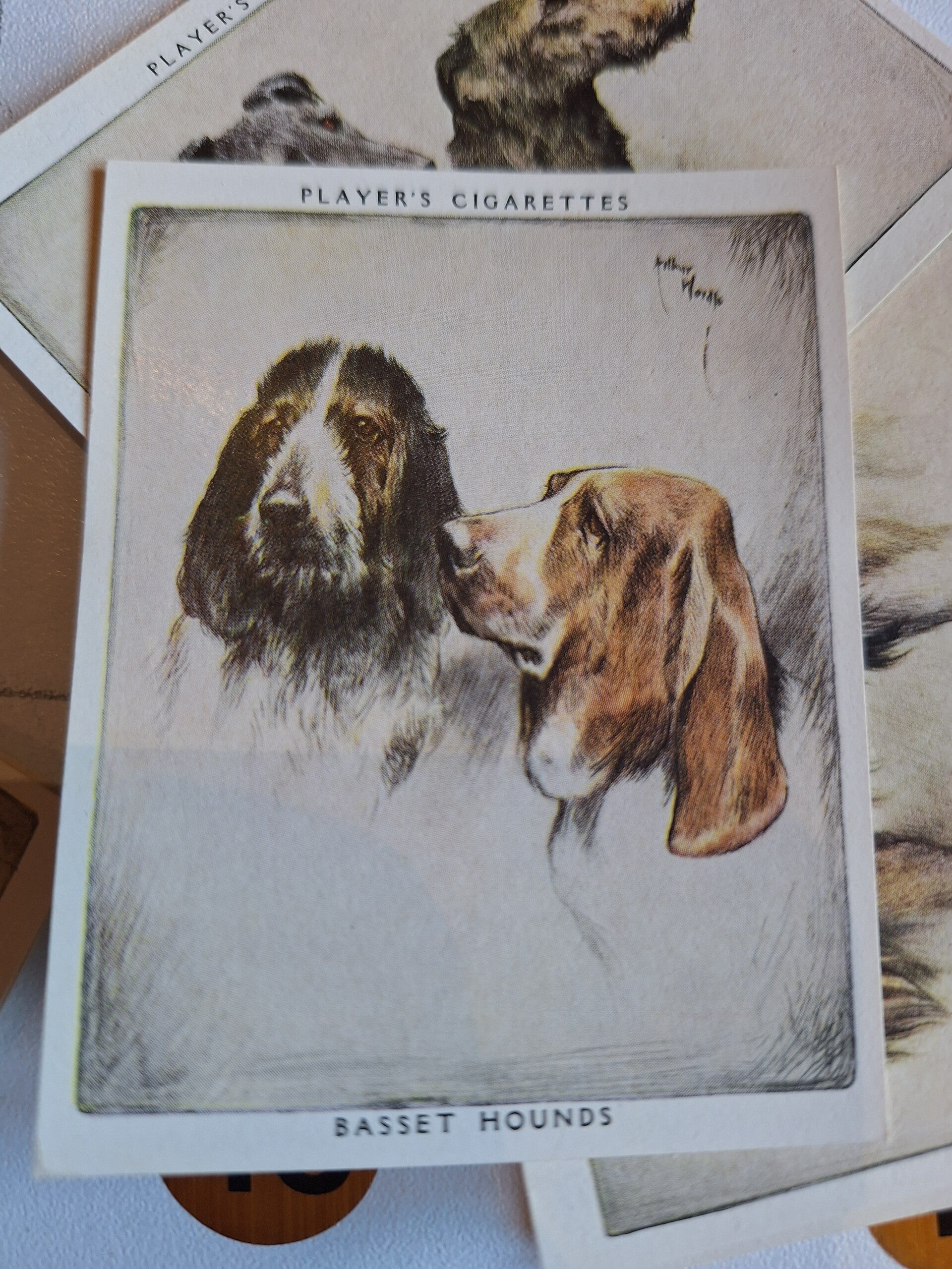 DOGS  COMPLETE SET OF 25 CIGARETTE CARDS FROM PAINTINGS BY ARTHUR WARDLE R I UNISSUED ORIGINAL CARDS FROM TILLEYS OF SHEFFIELD JOHN PLAYER & SONS