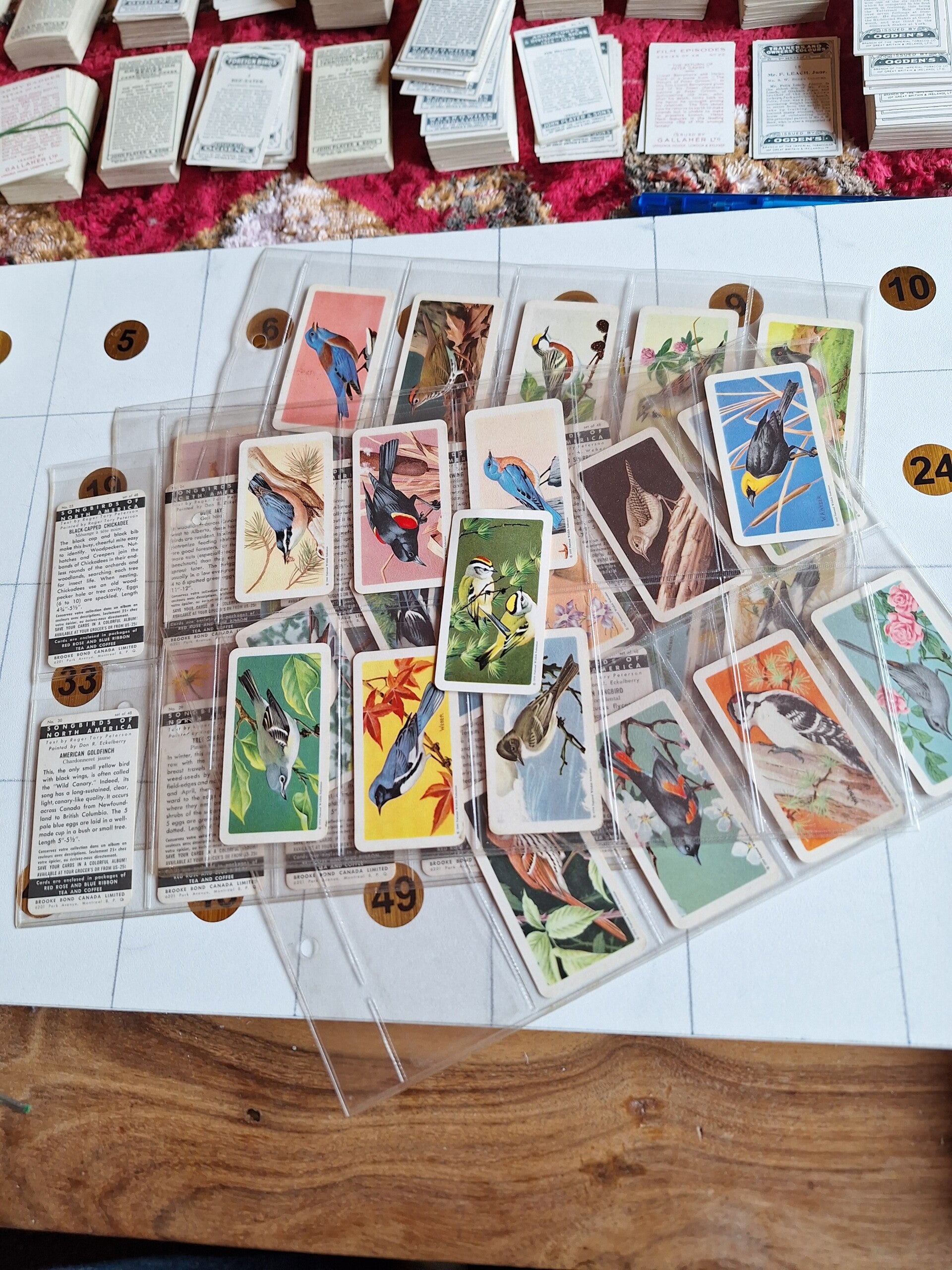 SONGBIRDS OF NORTH AMERICA COMPLETE SE OF 48 TRADE CARDS  1959 FROM TILLEYS OF SHEFFIELD BROOKE BOND CANADA
