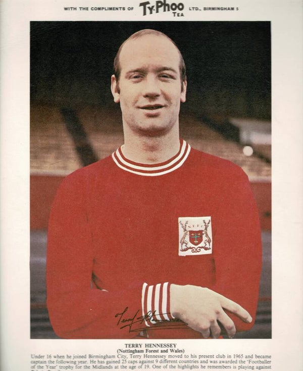 TYPHOO PREMIUM ISSUE FOOTBALL CARD TERRY HNNESSEY