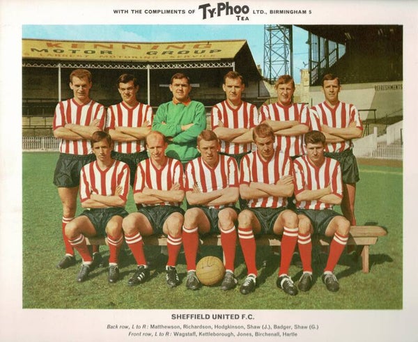 TYPHOO PREMIUM ISSUE FOOTBALL CARD SHEFFIELD UNITED