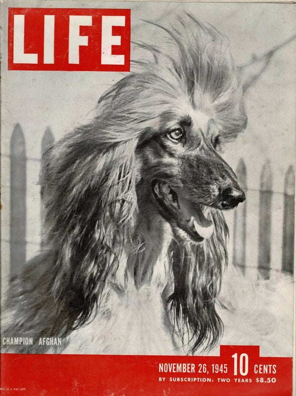 LIFE US MAGAZINE November 26th 1945 VINTAGE MAGAZINE BACK ISSUE TILLEYS