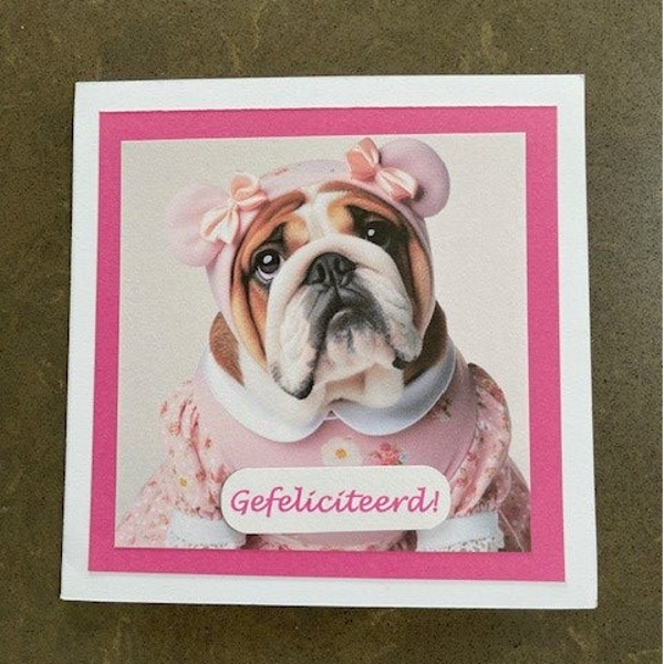 Kaart Gefeliciteerd Engelse Bulldog Roze 1 met envelop