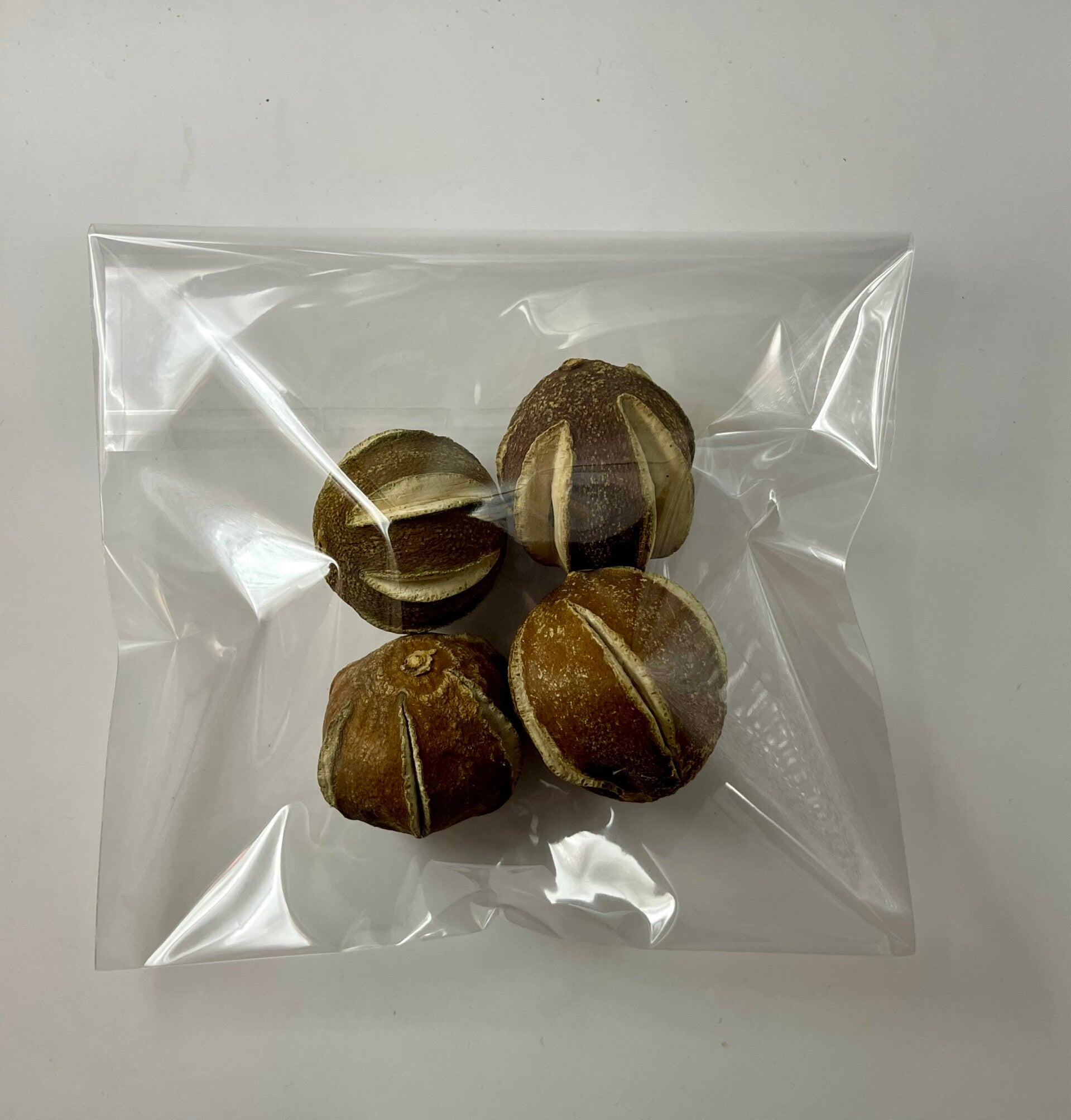 Knutselzakje Bellani Pompoentjes
