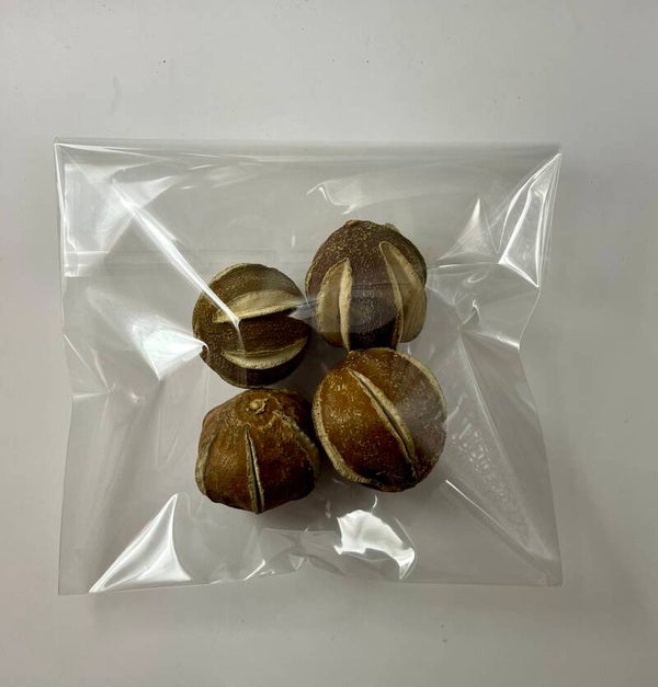 Knutselzakje Bellani Pompoentjes