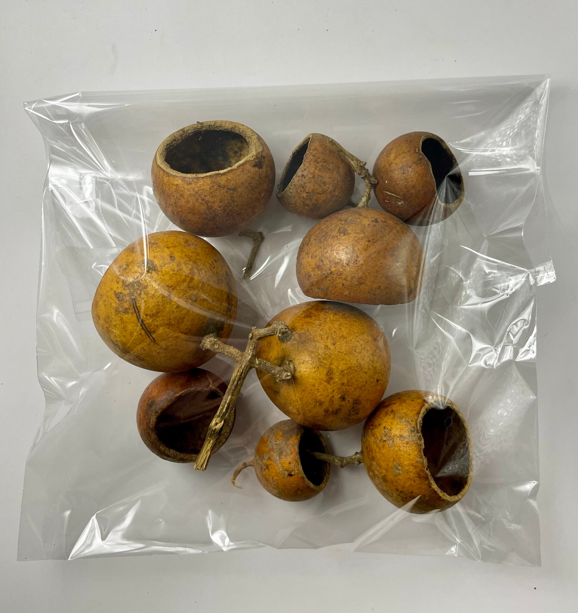 Knutselzakje Bell Cups