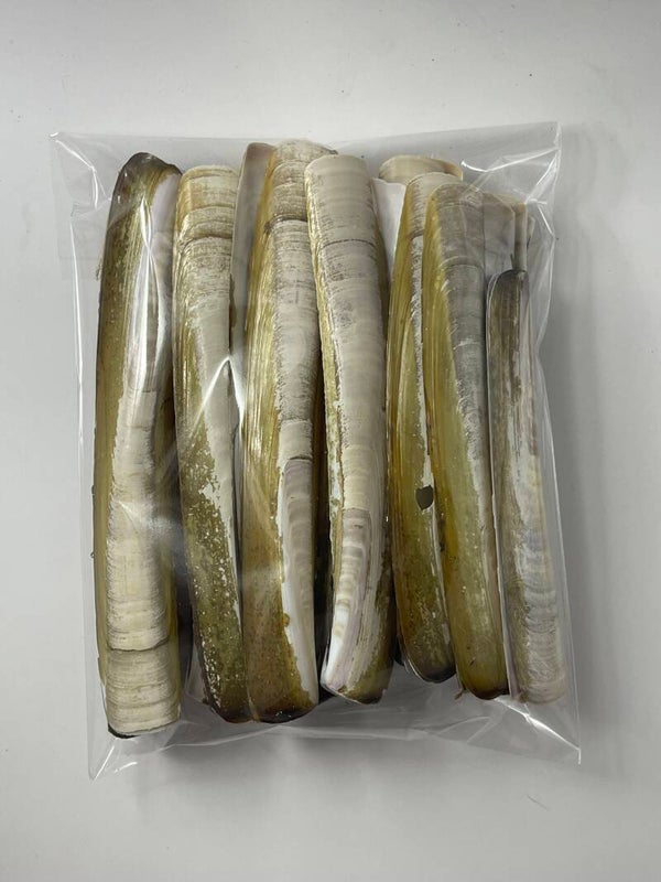 Knutselzakje Schelpen Scheermesjes