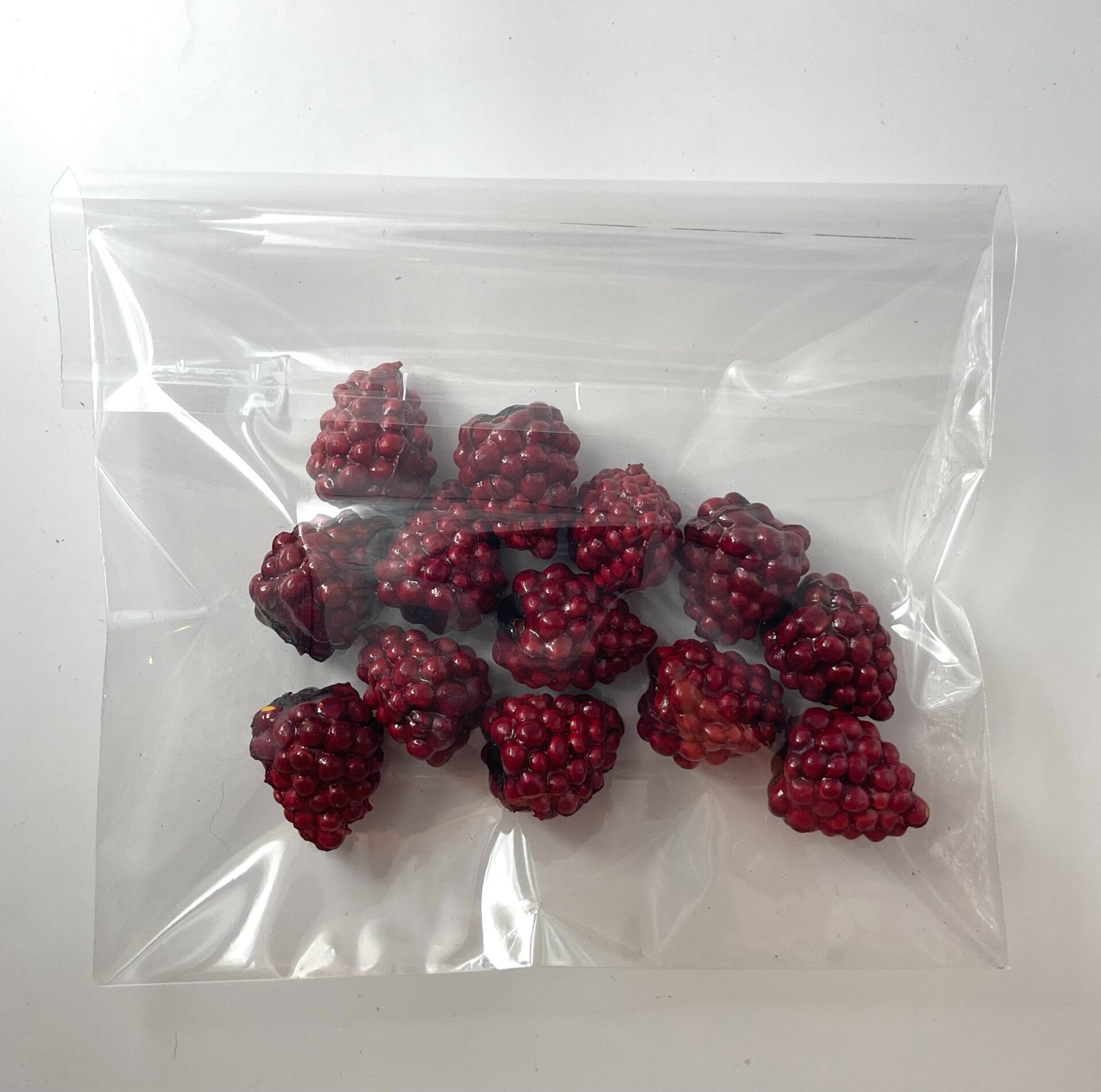 Knutselzakje Bramen Rood