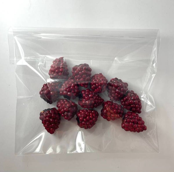 Knutselzakje Bramen Rood