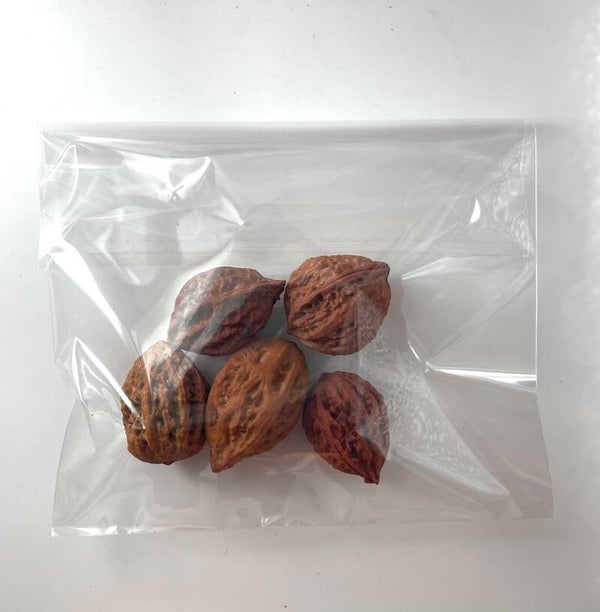 Knutselzakje Perzikpitten Oranje / Zalm