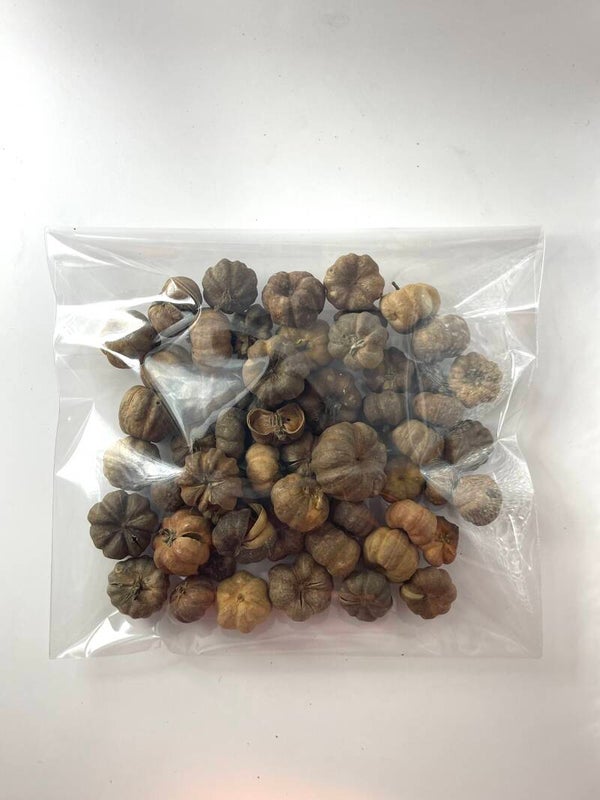 Knutselzakje Putka Peulen (mini pompoentjes) Bruin