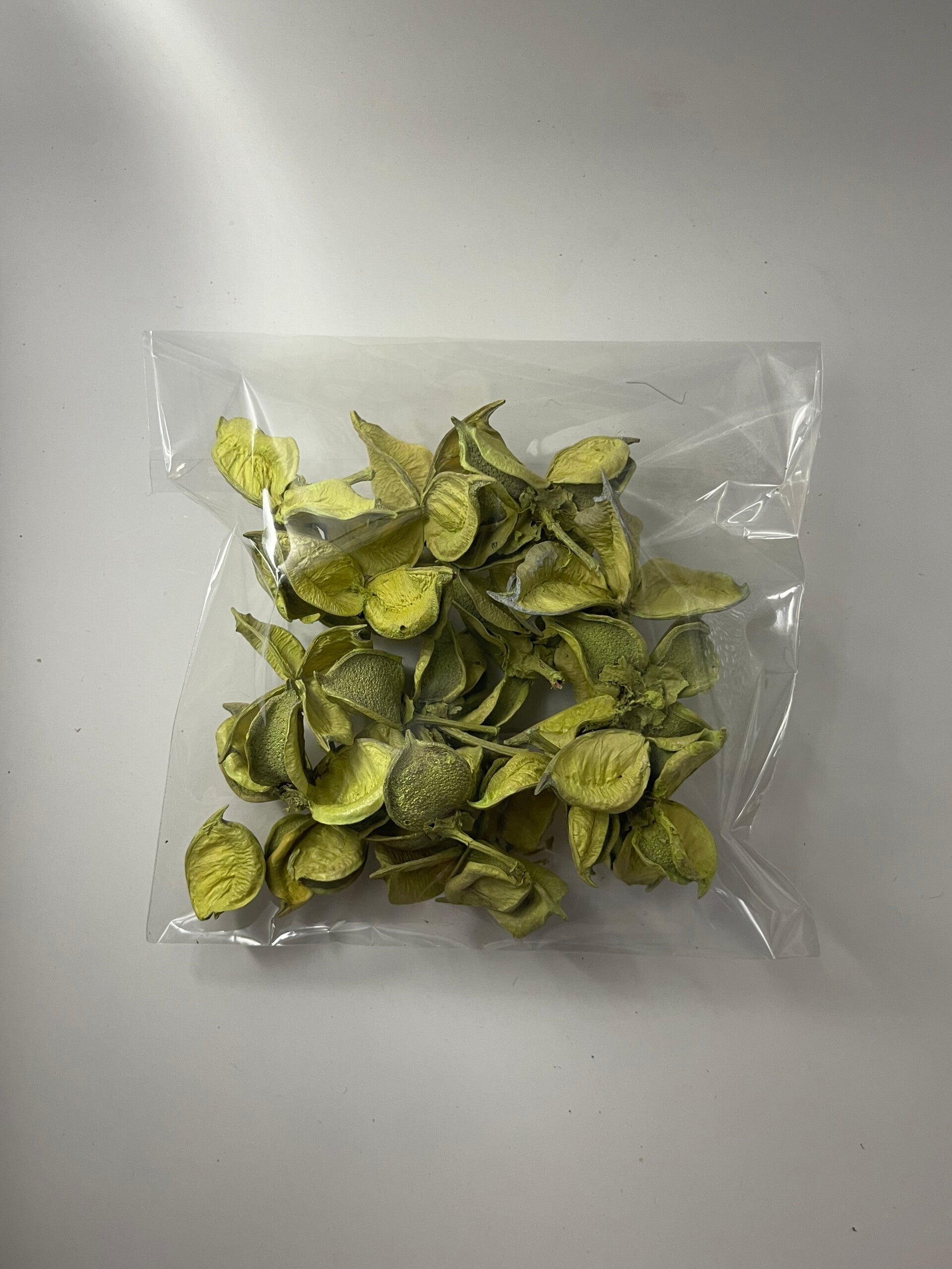 Knutselzakje Klokwinde Frisgroen
