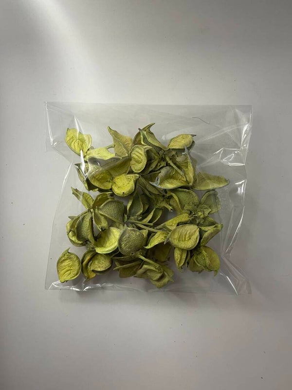 Knutselzakje Klokwinde Frisgroen